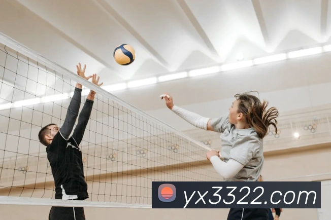 平台展示图